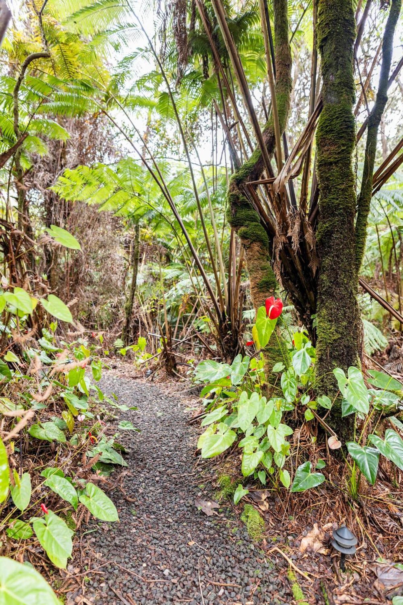 Pahoehoe- Hale Kumu La'Au At Volcano Luaran gambar